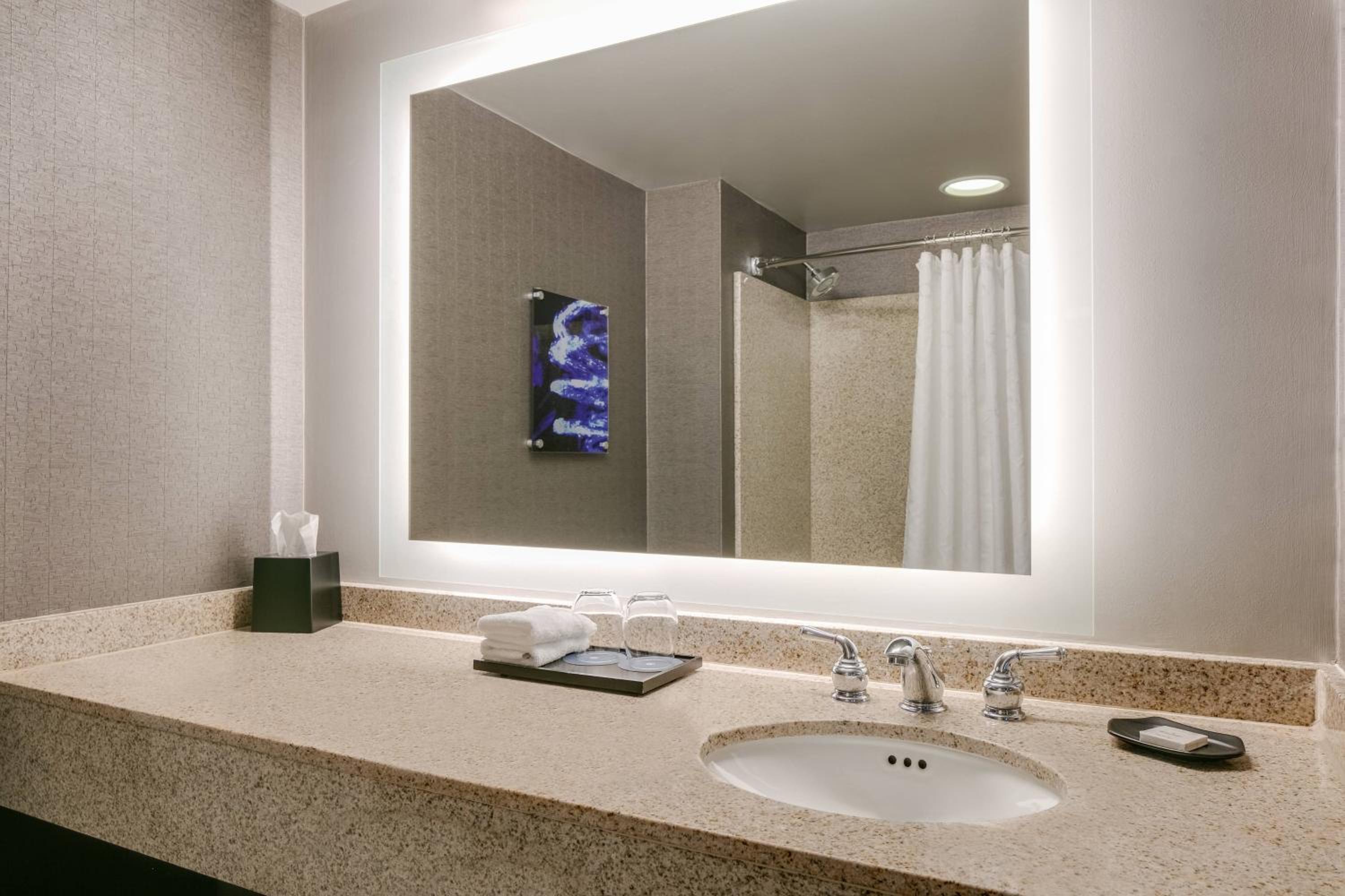 غرفة بسرير كينج بحوض استحمام لذوي الإعاقة، SHERATON OVERLAND PARK HOTEL AT THE CONVENTION CENTER 6/10