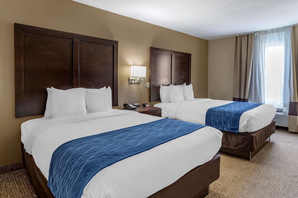 Comfort Inn Suites Fm1960 Champions 20/55