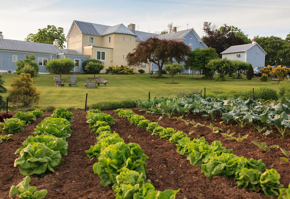 L Auberge Provencale Bed and Breakfast 40/51