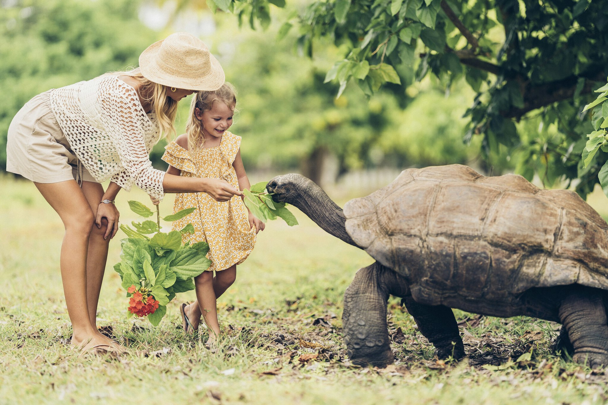 FOUR SEASONS RESORT SEYCHELLES AT DESROCHES ISLAND 54/58