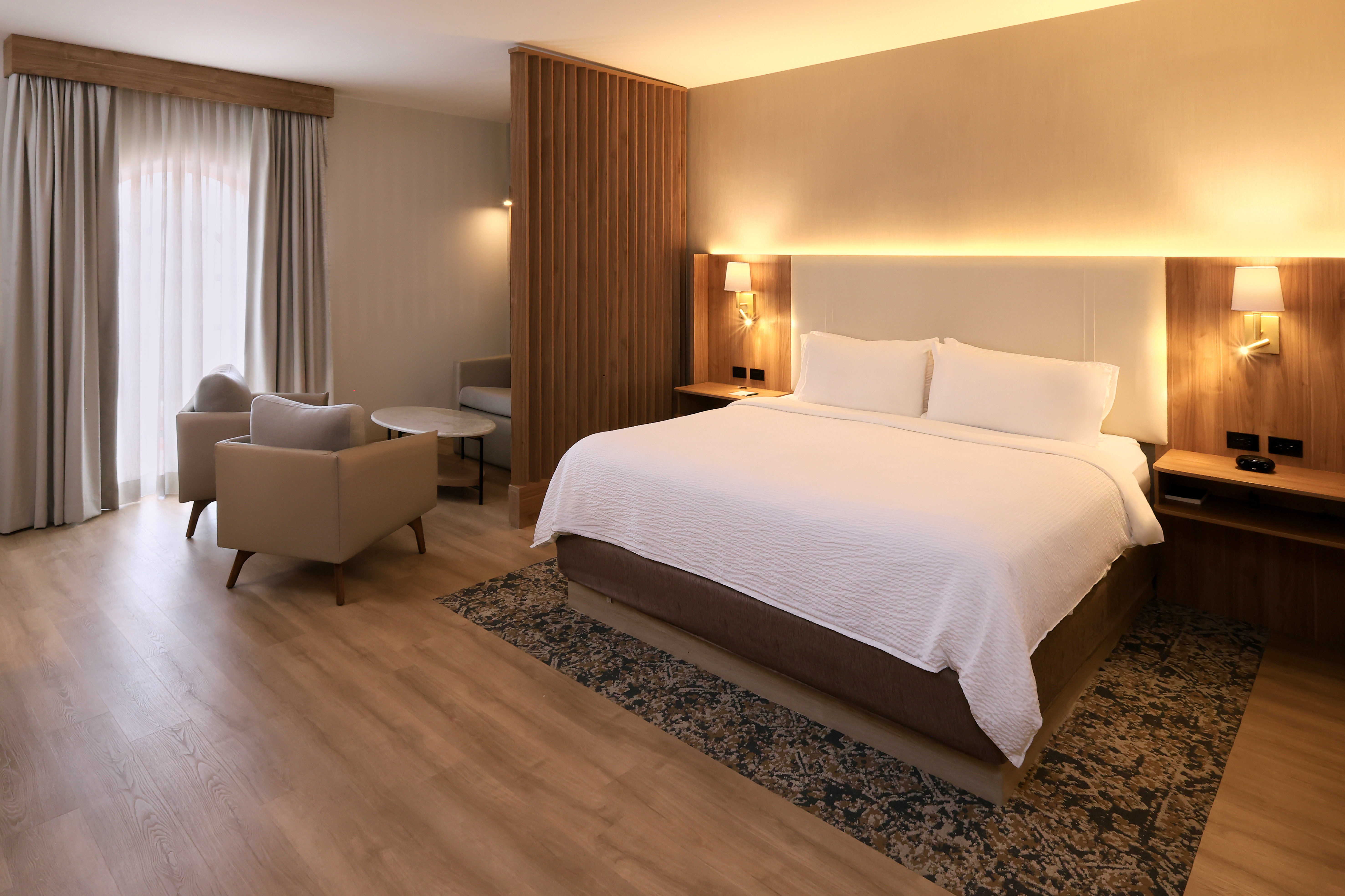 Holiday Inn Monclova 13/50