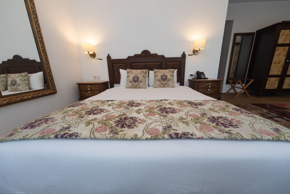 Elif Hanim Hotel & Spa 9/50