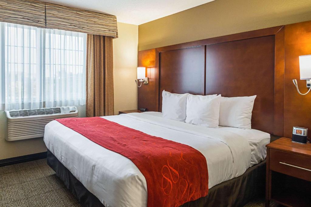 Room, Single, King Bed, Next to Elevator