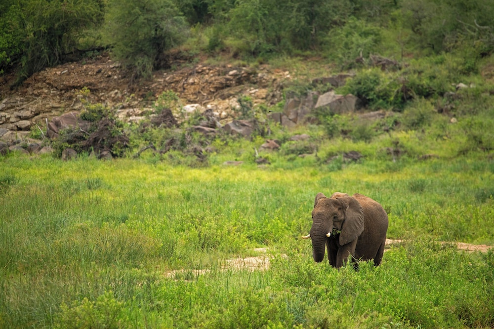 Skukuza Safari Lodge 63/65