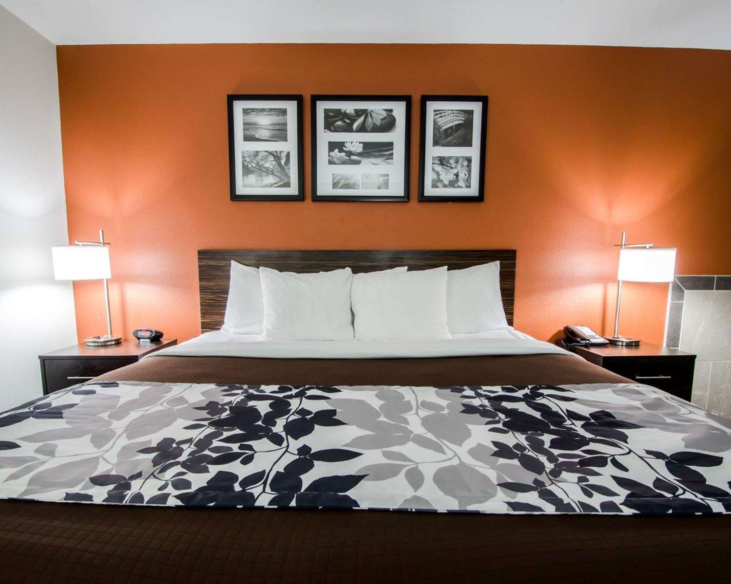 Sleep Inn & Suites And Conference Center Downtown 12/40