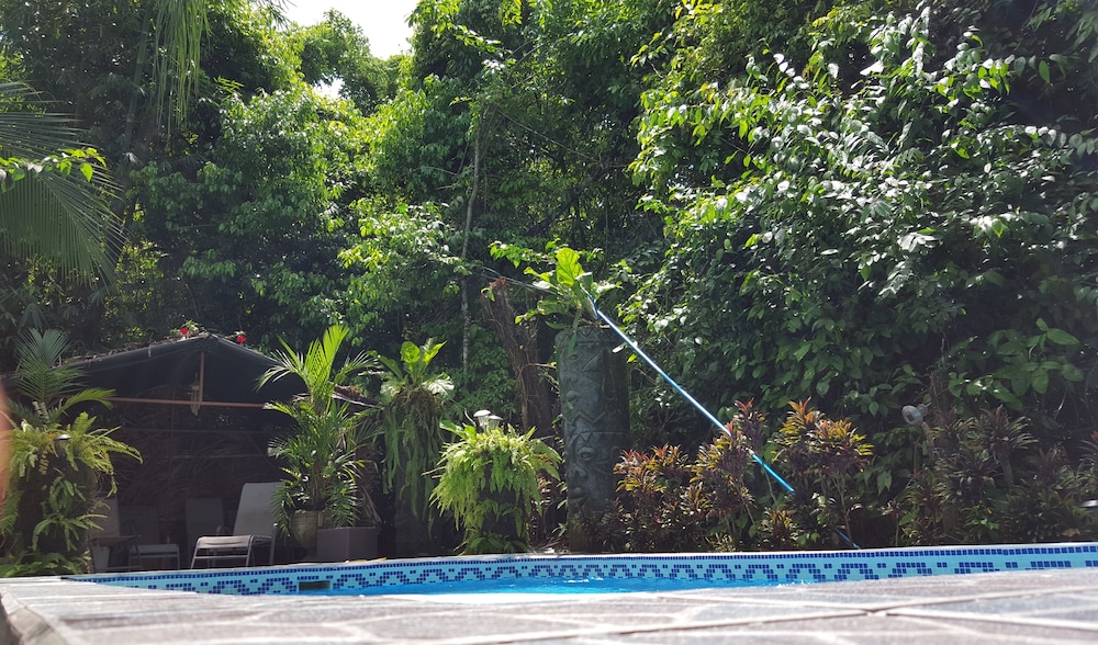 Hotel La Posada And Jungle 68/74