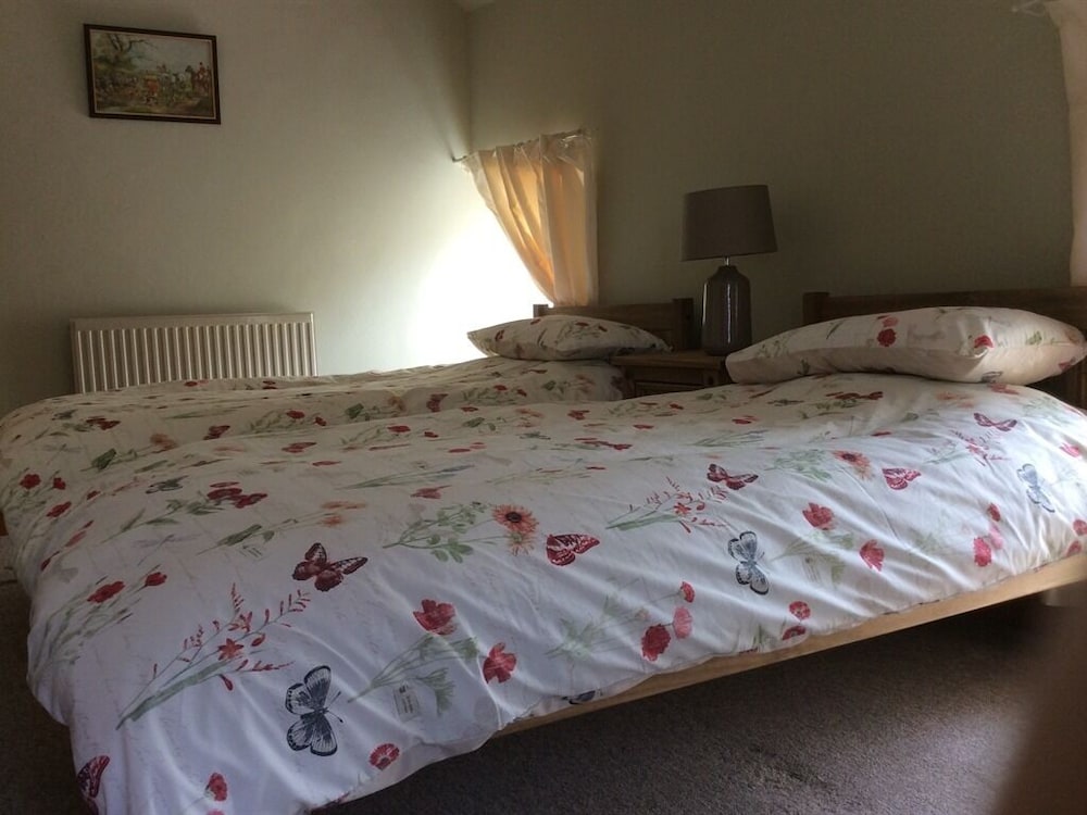 Afon Duad Inn 4/17