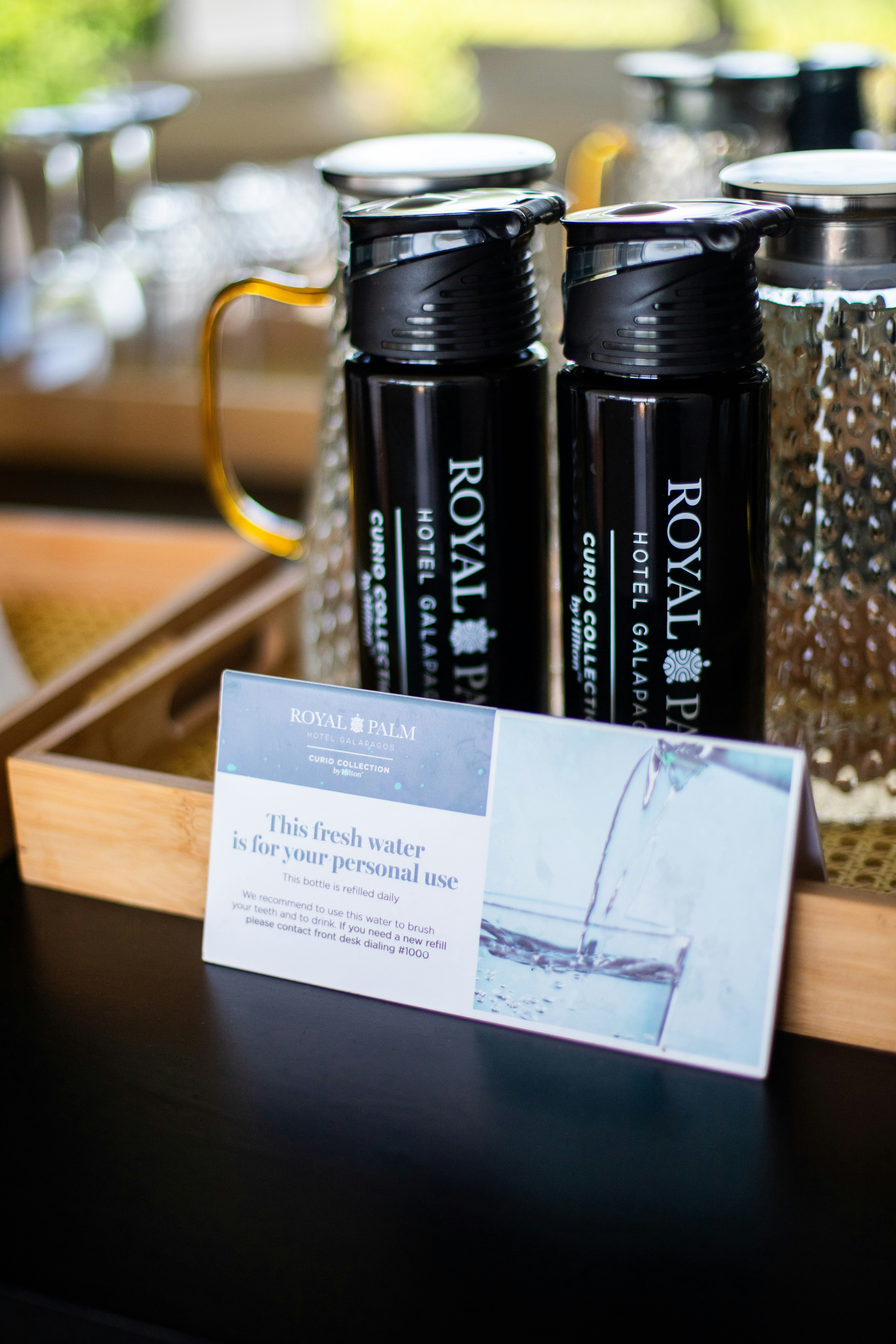 Royal Palm Galapagos, Curio Collection Hotel by Hilton 2/24