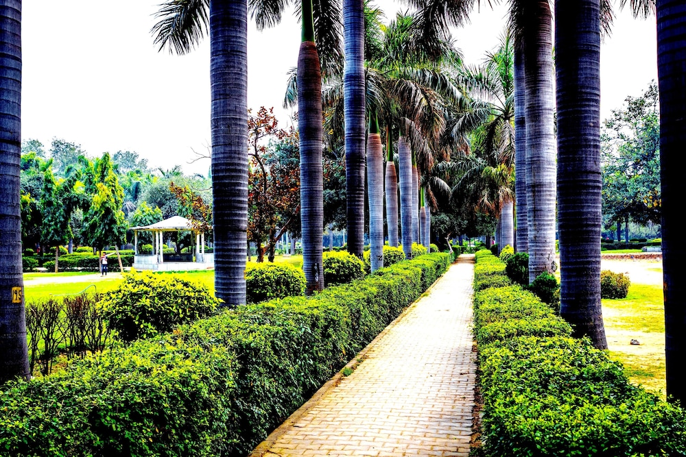 CASPIA HOTEL NEW DELHI SHALIMAR BAGH 1/67