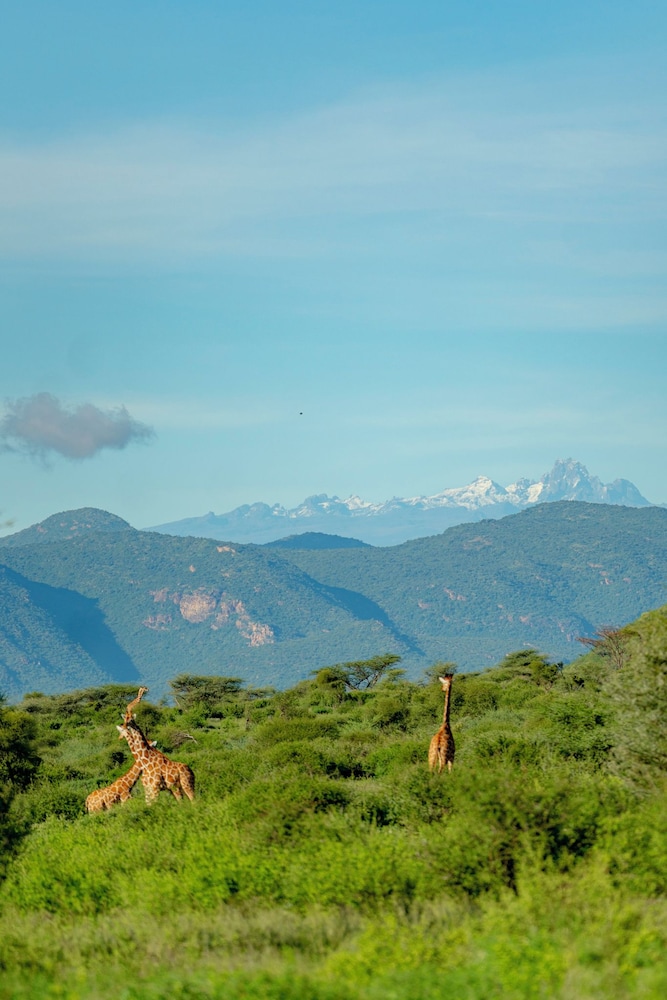 Samburu Intrepids Tented Camp 41/49