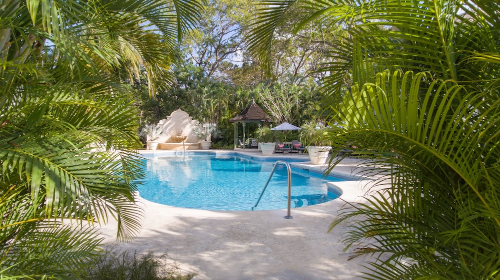 Coral Reef Club 43/85