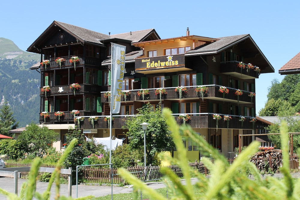 Hotel Edelweiss 2/60