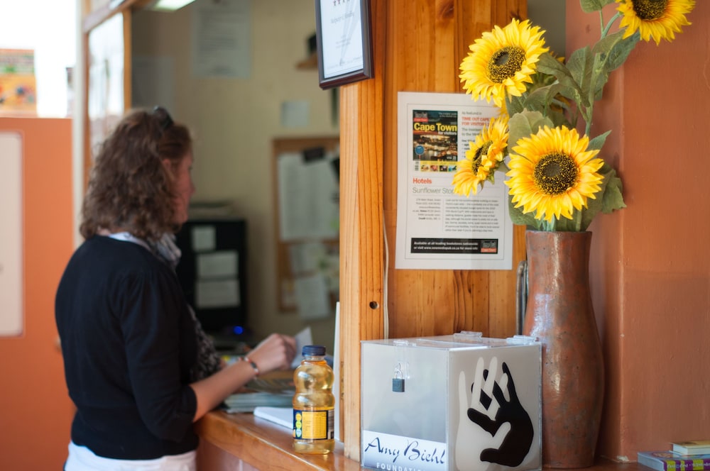 A Sunflower Stop 7/50