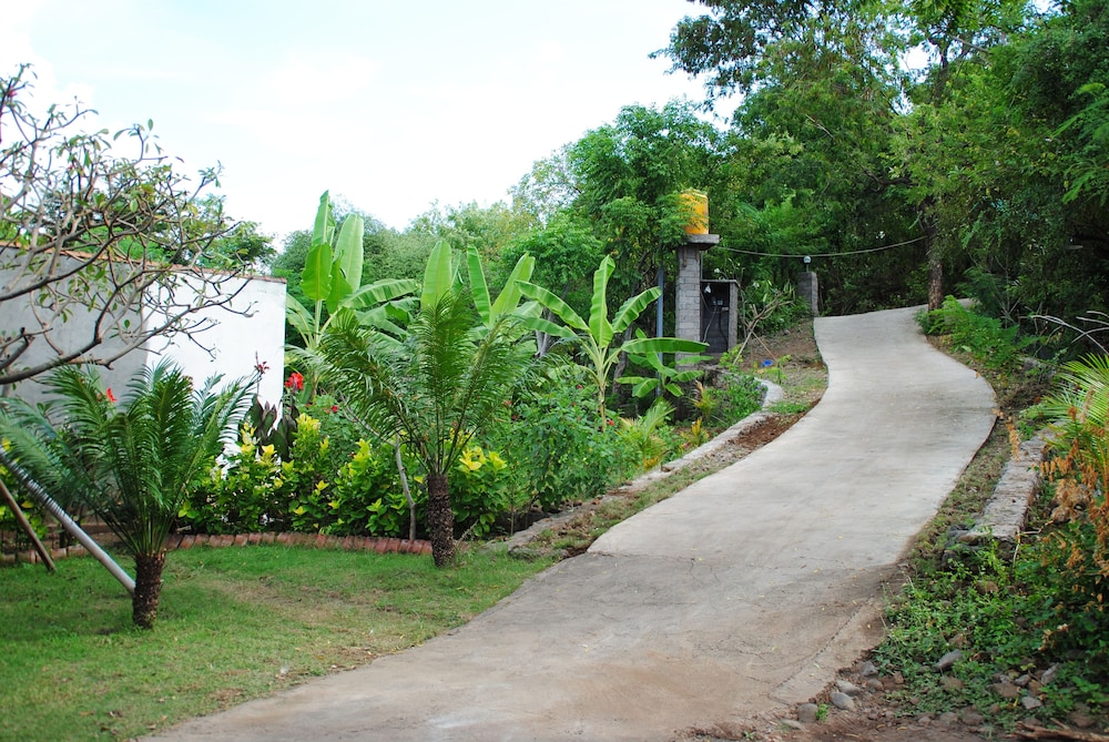 Tiara Homestay Pemuteran 27/30