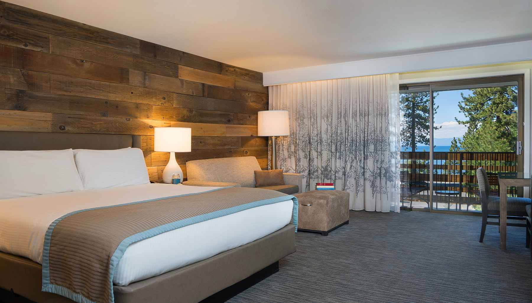 Room, Single, King Bed