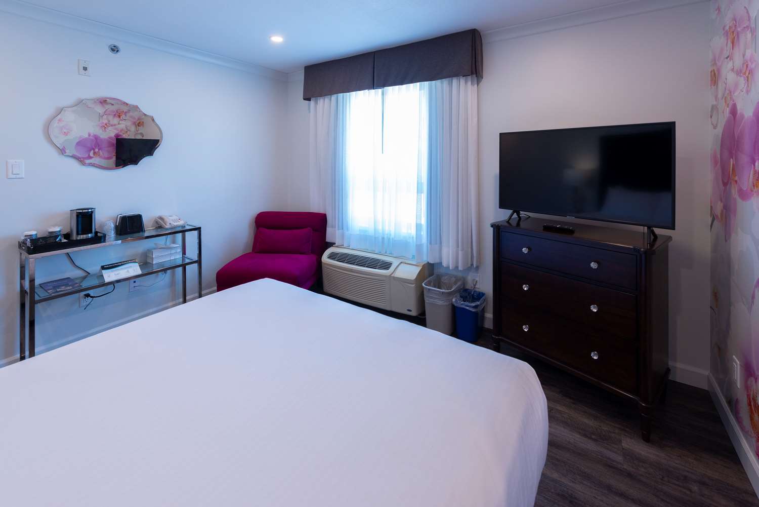Room, Queen Bed