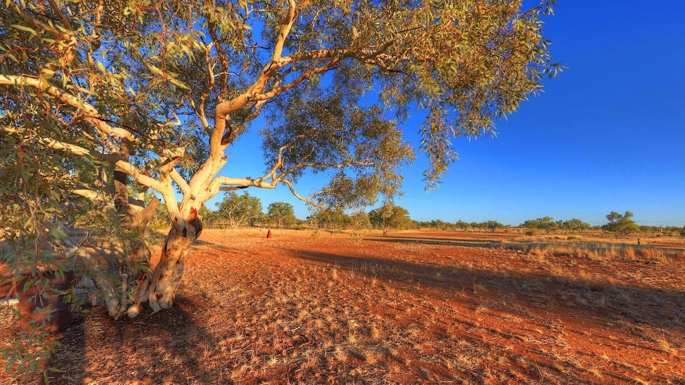 Best Western Halls Creek Motel 39/48