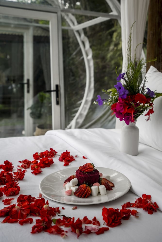 Bubble Hotel Bali Ubud 12/50
