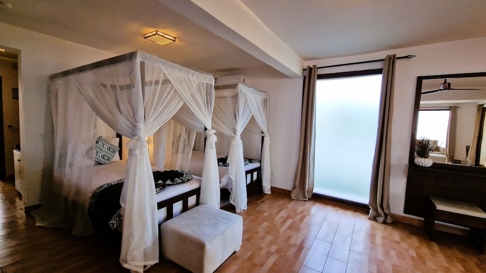 Dream of Zanzibar 11/50