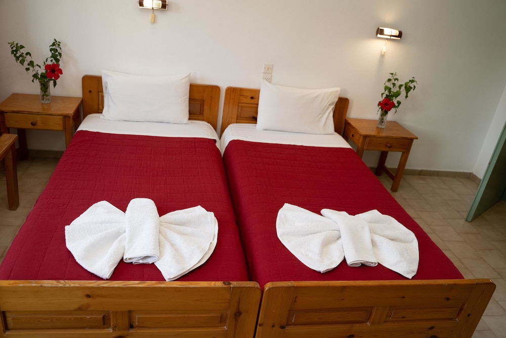 Dimitris Villa Hotel 29/67