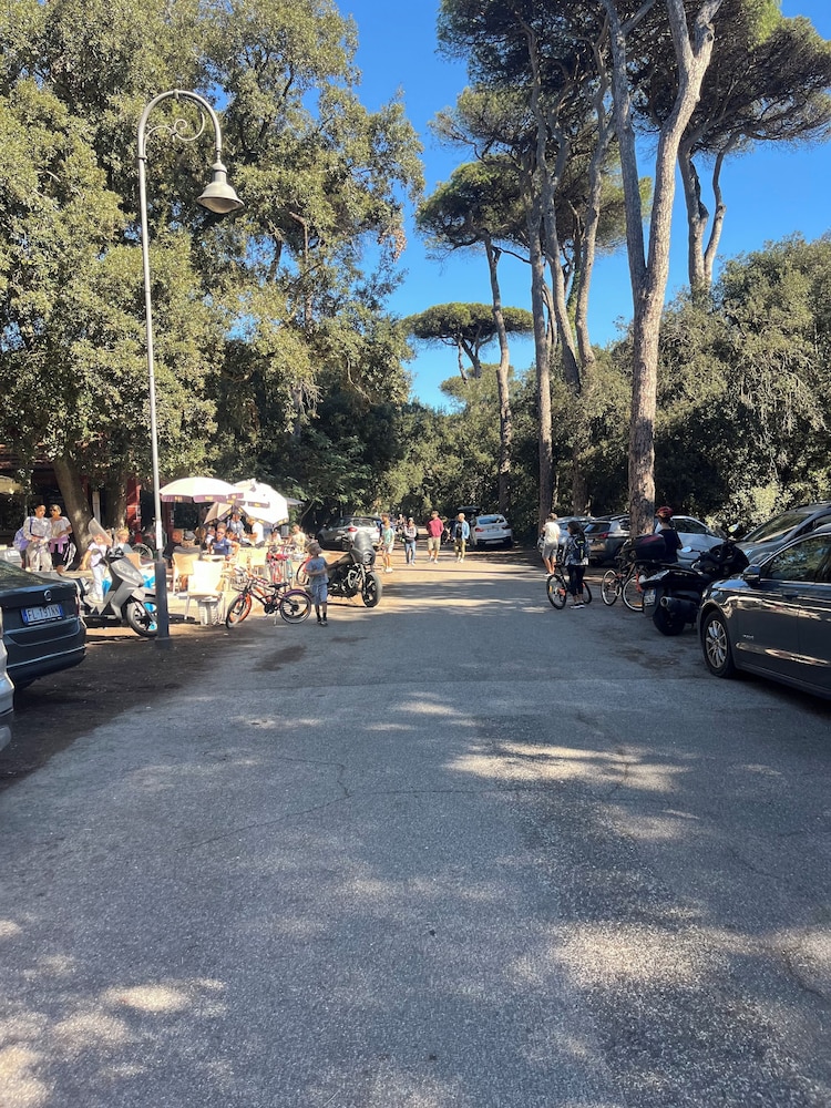 Barocchetto Romano 41/50