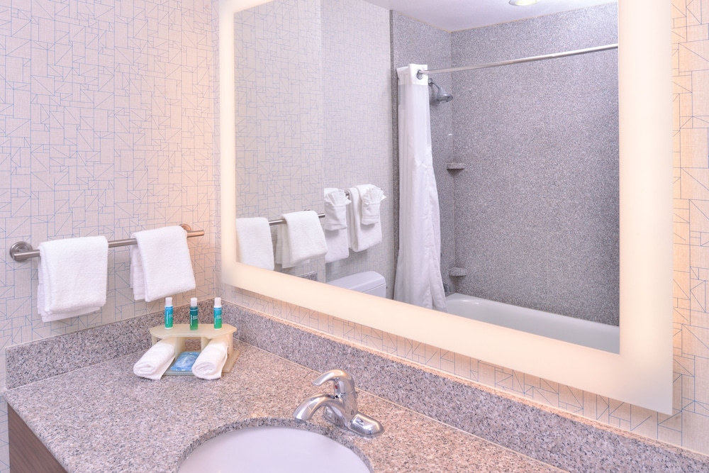 Holiday Inn Express Hotel Suites San Diego Otay 26/77