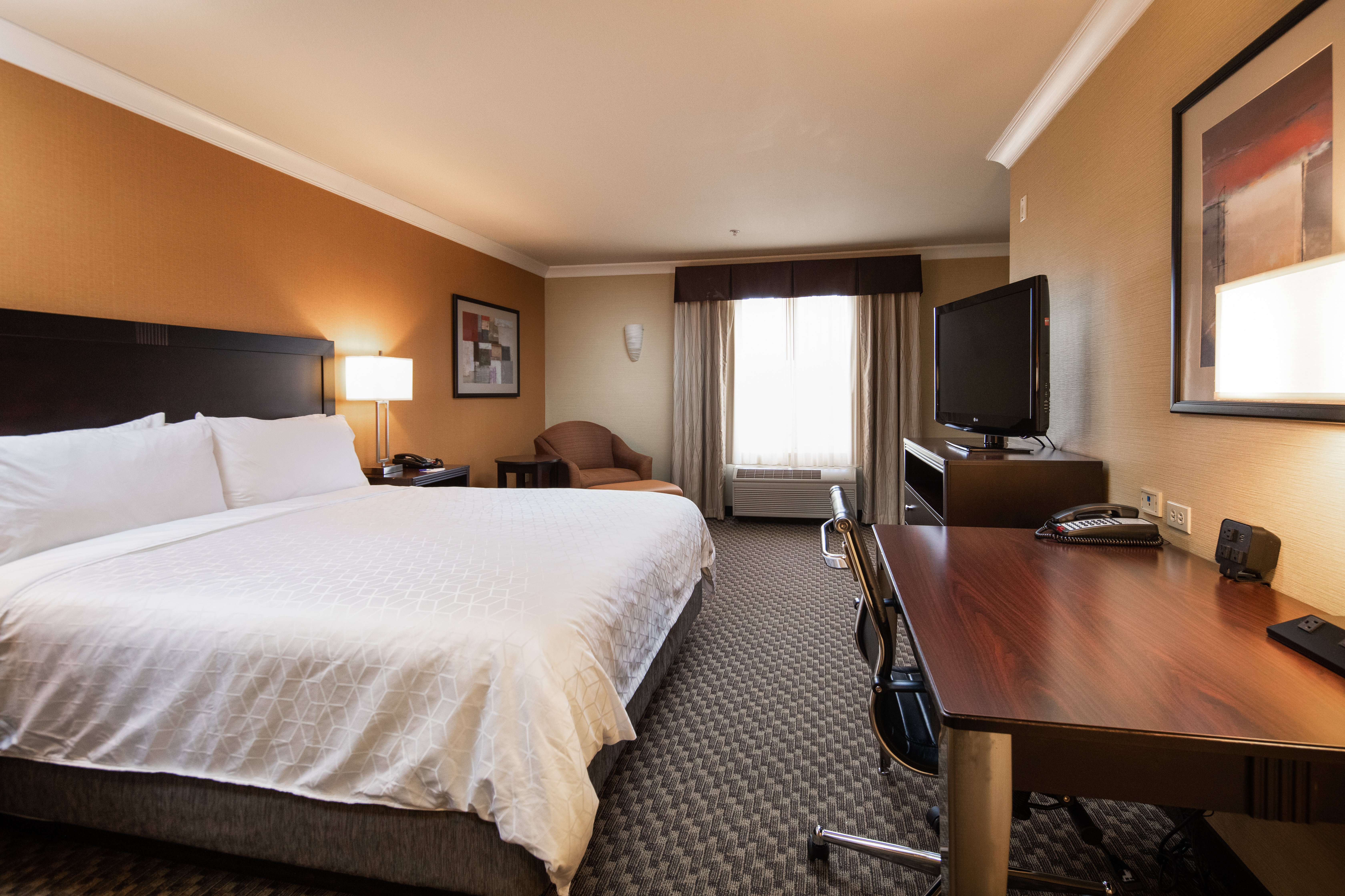 Holiday Inn Express Castro Valley 31/71