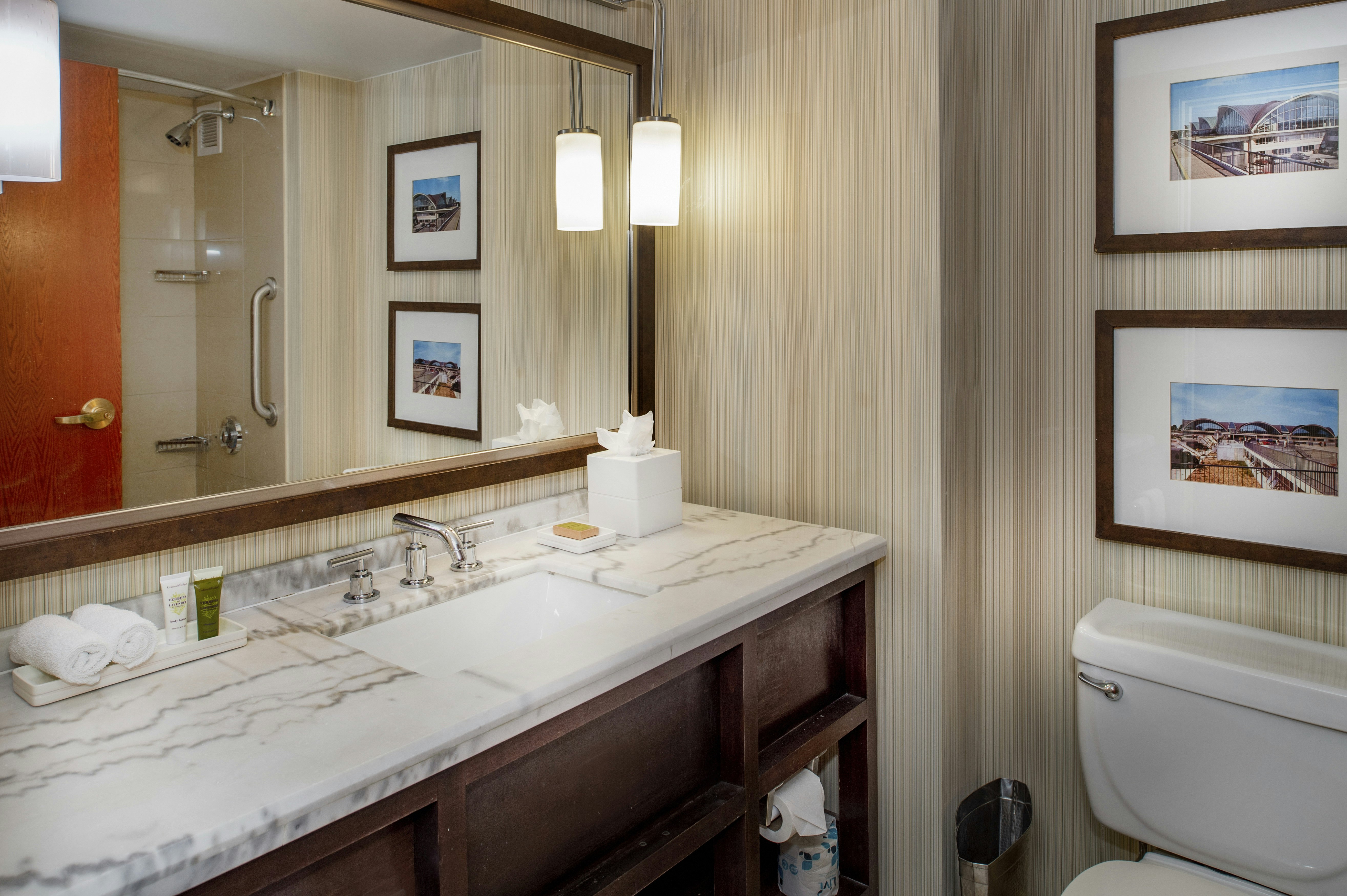 1 Bedroom, Deluxe, Suite, King Bed, Hilton St. Louis Airport 4/4
