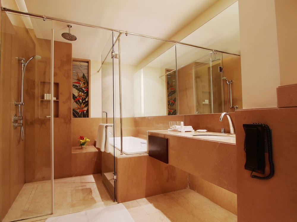 Radisson Blu Plaza Hotel Mysore 70/72