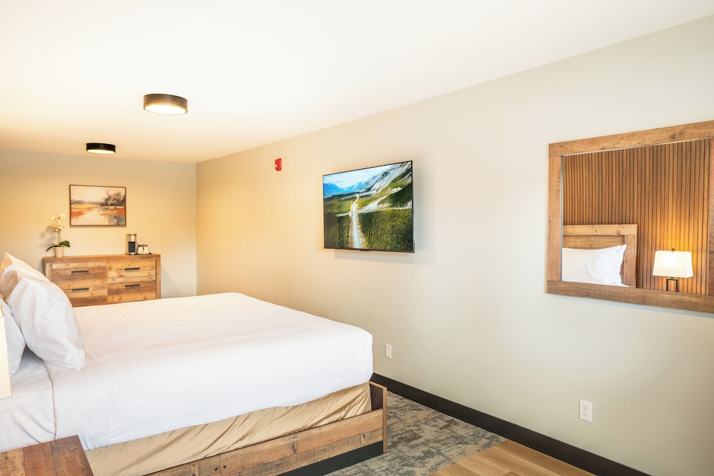 Premium, King Bed