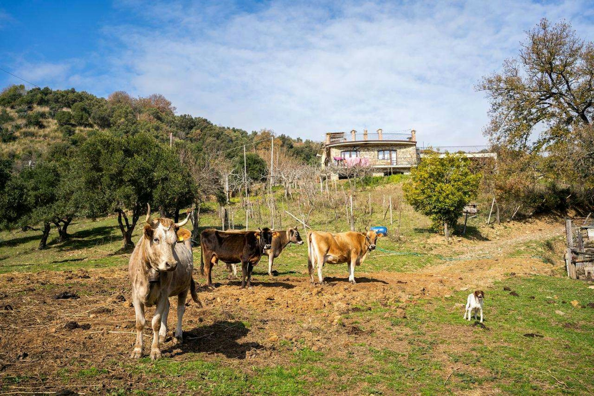 Agriturismo San Basilio 58/65