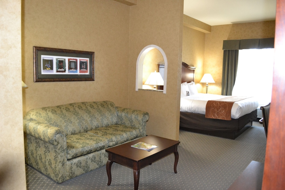 Comfort Suites Alamo Riverwalk 18/35
