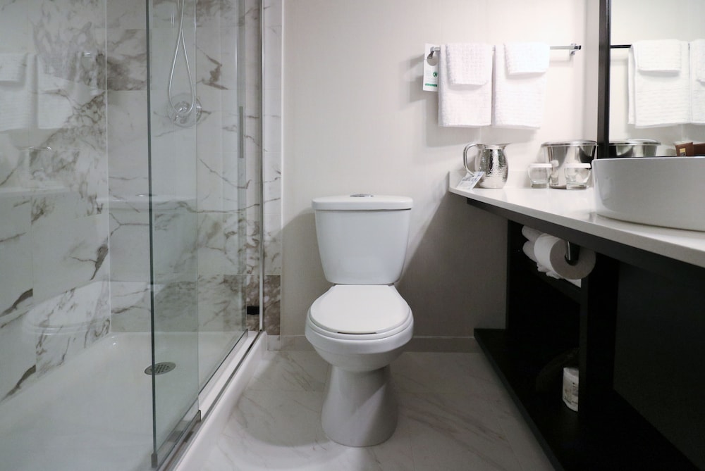Best Western Plus Sands 16/56