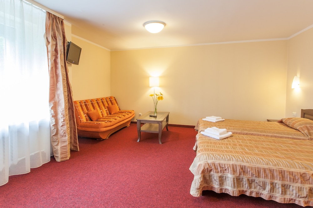 Airinn Vilnius Hotel 31/75