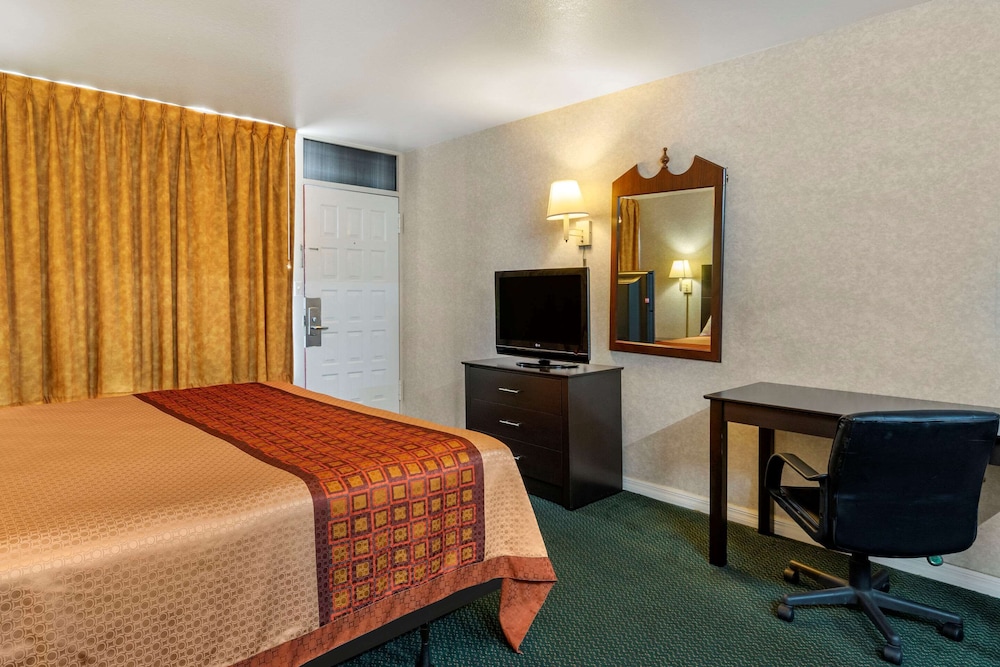 Rodeway Inn Clearwater-Largo 19/31
