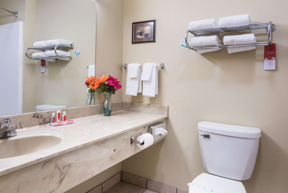 Econo Lodge Inn & Suites Rockmart 22/35