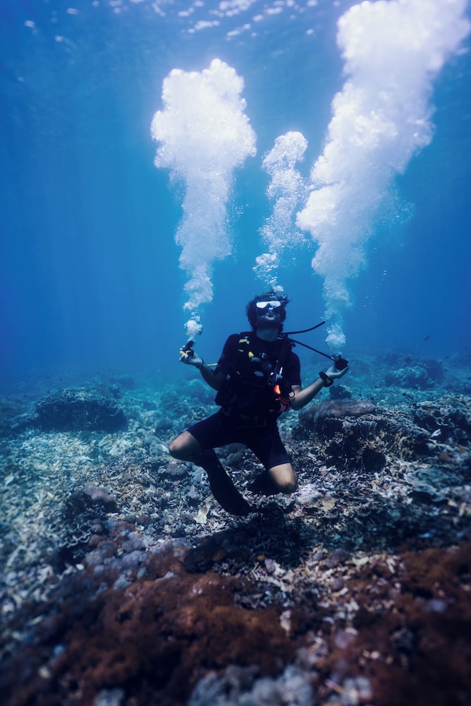 Deep Roots Dive & Yoga Resort 45/50