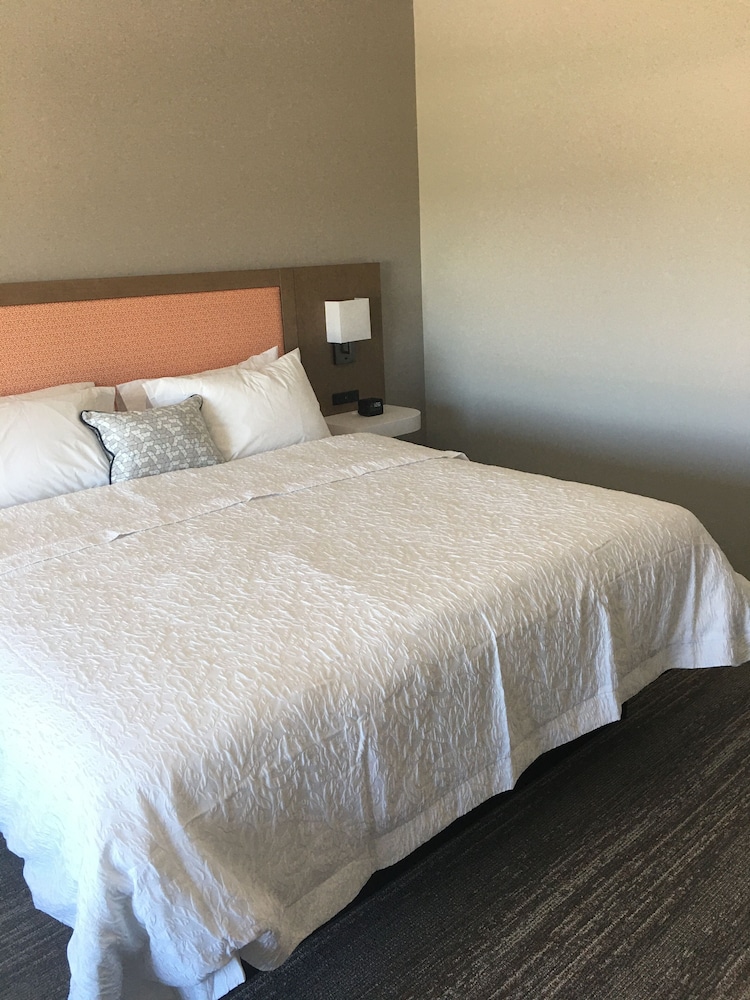 Hampton Inn Midland South 23/58