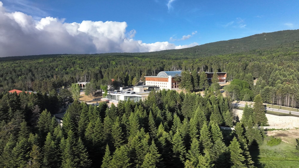 Swissotel Uludag Bursa 55/60