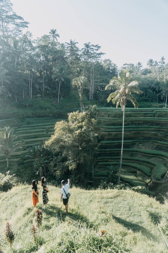 Lodtunduh Sari 59/73