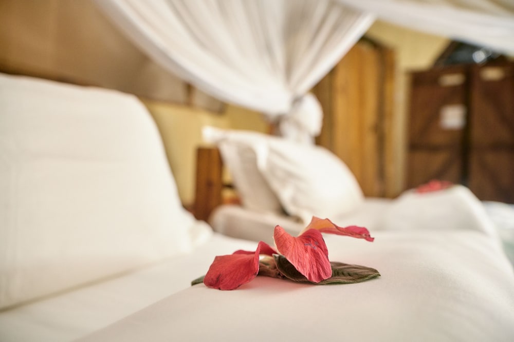 Karama Lodge & Spa 6/50