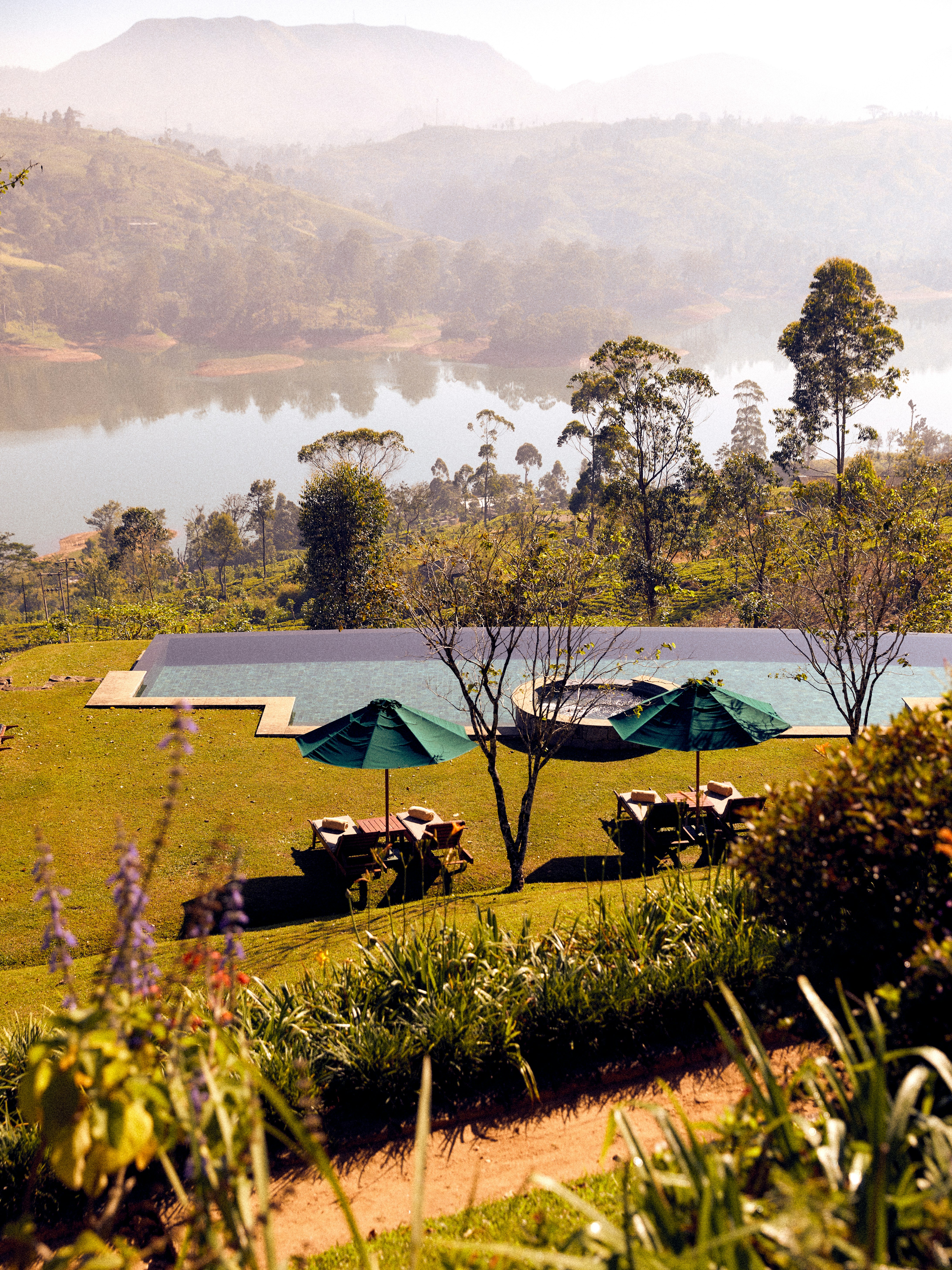 Tea Trails 36/43