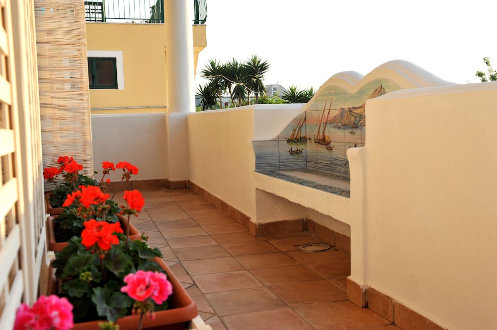 Il Leone Di Mare 6/50