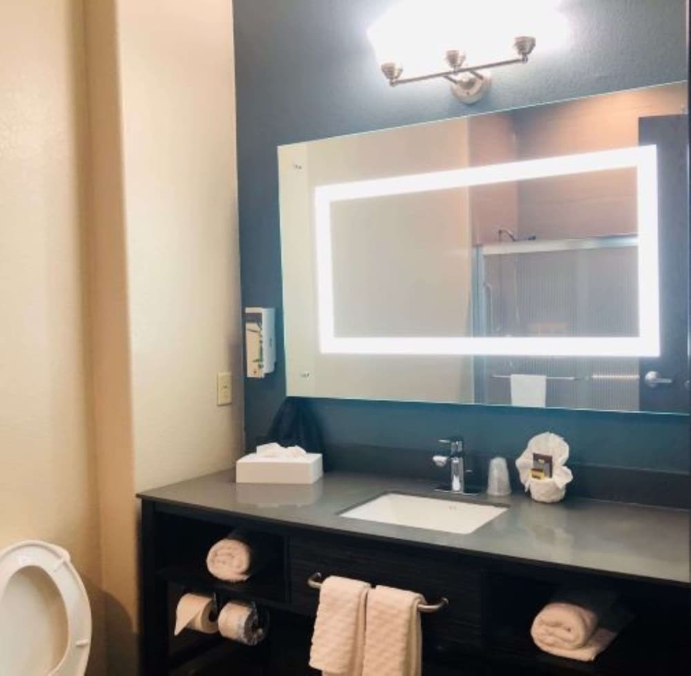 Best Western Plus Pflugerville Inn and Suites 20/37