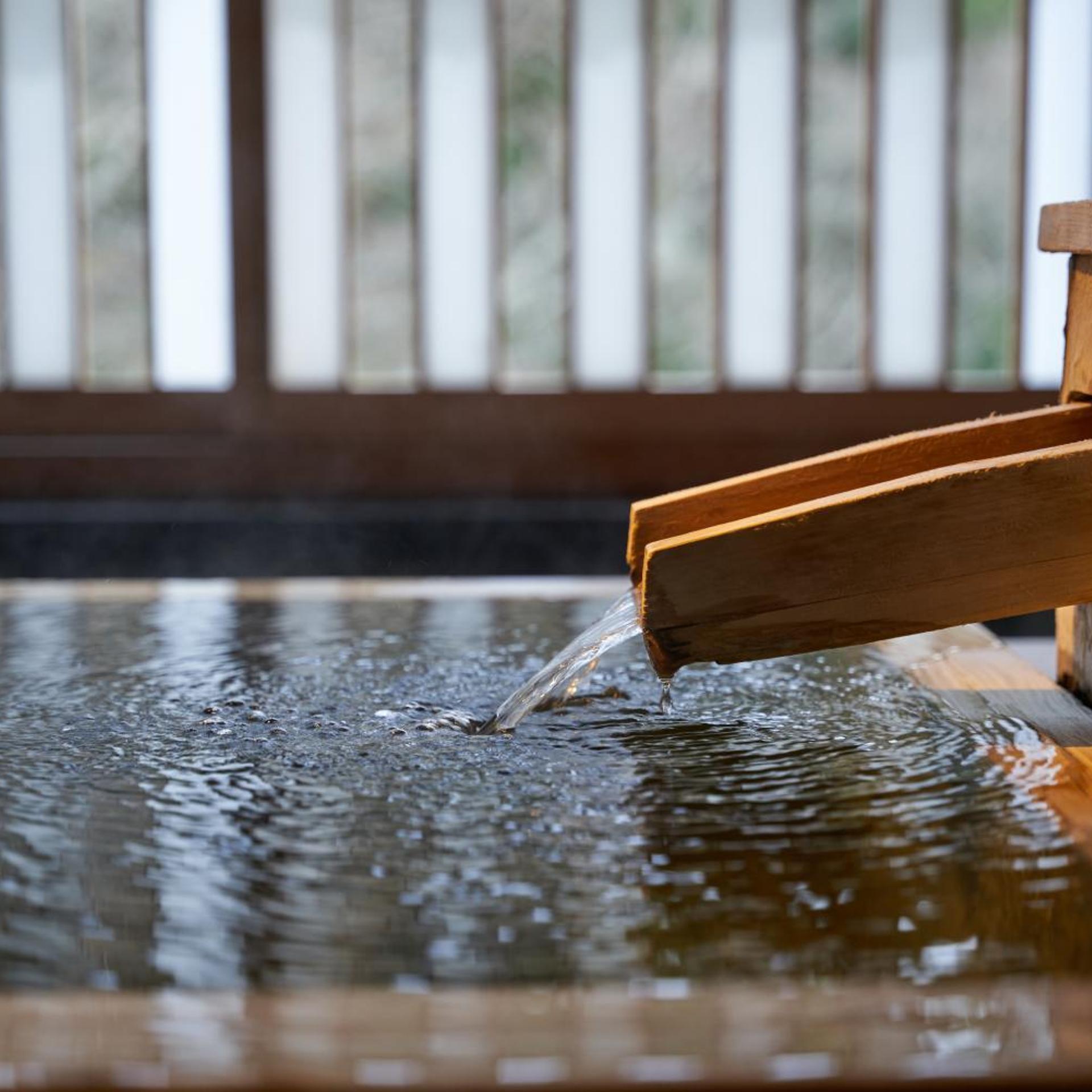 Shimoda Rendaiji Onsen Seiryuso 22/50