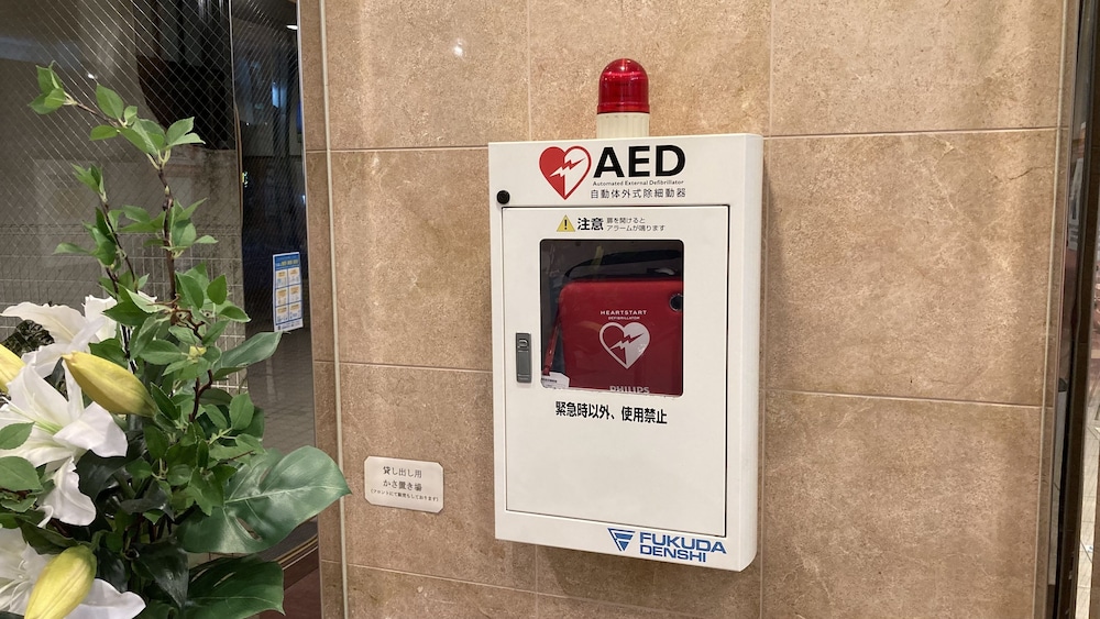 TOYOKO INN OKINAWA NAHA KOKUSAI-DORI MIEBASHI-EKI 28/64