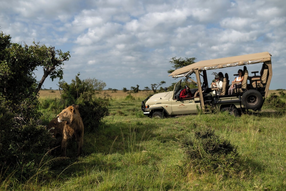 Mahali Mzuri - All-Inclusive 19/32