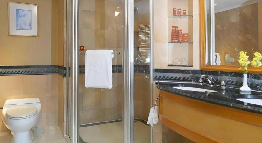 Regency Hotel Shantou 54/54