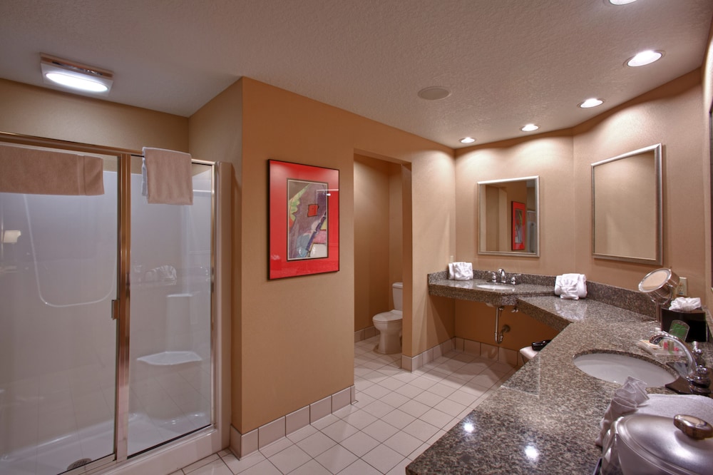 Holiday Inn Hotel Suites St Paul Ne Lake Elmo 45/80