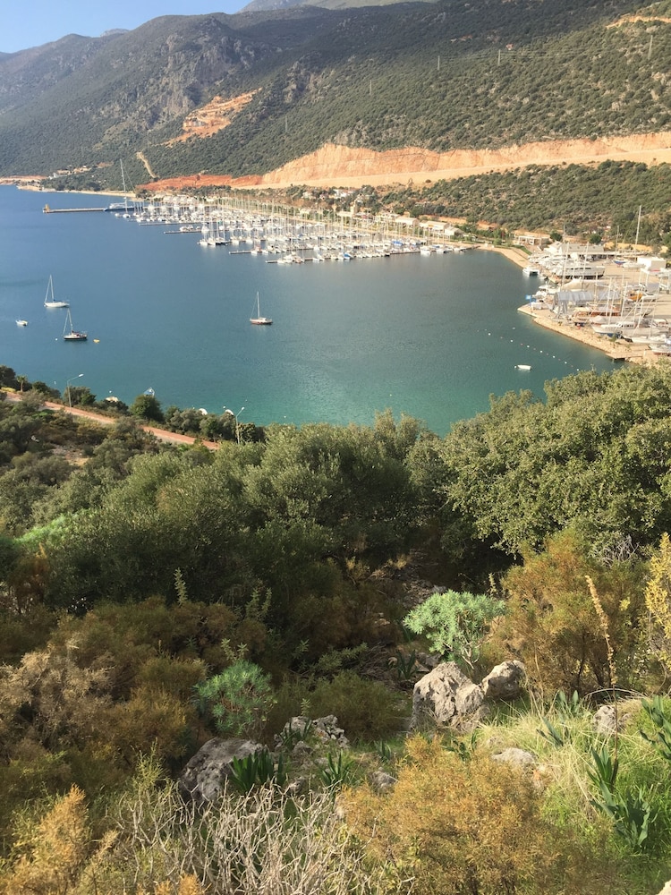 Carruba Boutique Hotel 37/50